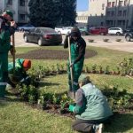 У центрі Одеси висадили тисячі кущів у межах масштабного озеленення — ФОТО