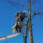 Модернізація вуличного освітлення в Одесі — чи стане місто світлішим