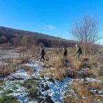 На Одещині зафіксували порушення під час масового відстрілу лисиць та шакалів