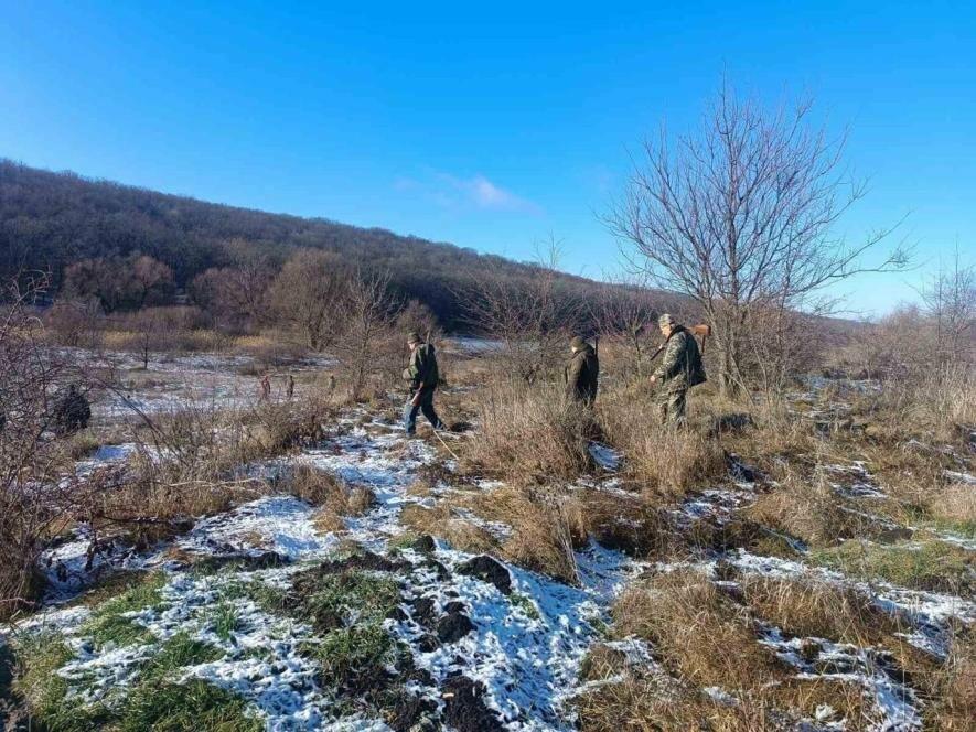 На Одещині зафіксували порушення під час масового відстрілу лисиць та шакалів