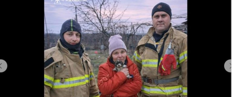 В Одеській області врятували щеня, яке впало в глибоку яму