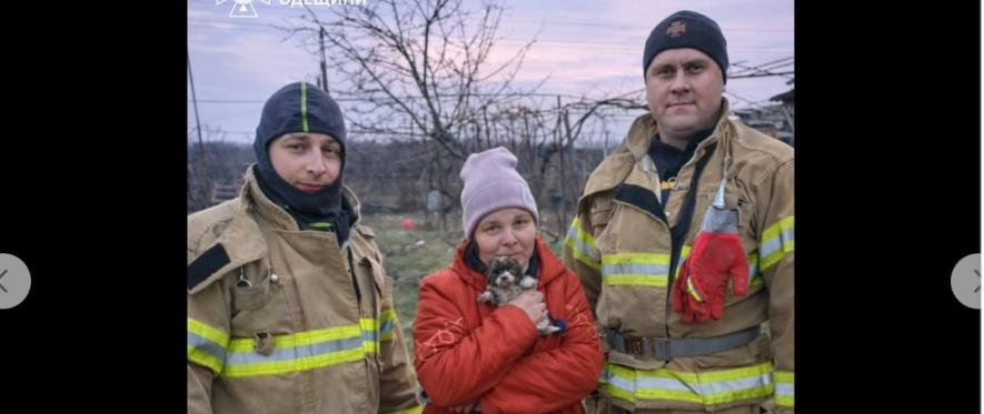 В Одеській області врятували щеня, яке впало в глибоку яму
