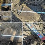 Під Одесою масово вирубали десятки дерев