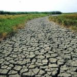 В Одещині констатують стрімке обміління Дністра — екологи закликають економно використовувати воду