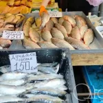 На Привозі в Одесі почали продавати дунайку поштучно
