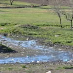 Історична річка Одещини опинилася на межі висихання