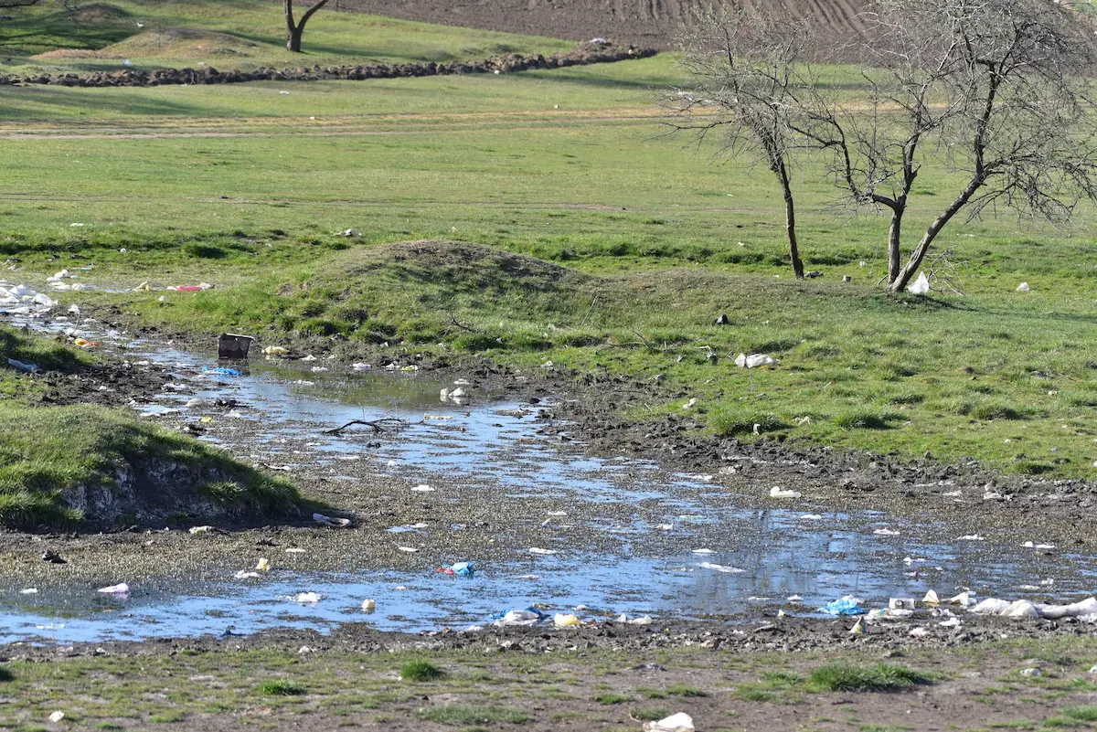 Історична річка Одещини опинилася на межі висихання
