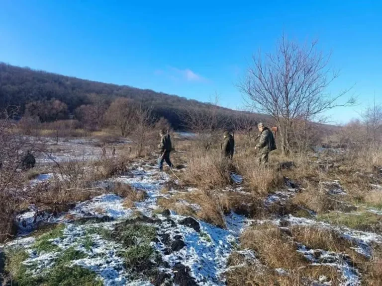 Контроль хижаків на Одещині: як регулюють чисельність шакалів, лисиць і вовків