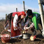 В Одещині відродили свято виноградарів: історія Трифона Зарезана у світлинах