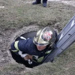 Під Одесою рятувальники витягли собаку з 5-метрової пастки