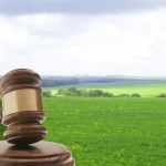 Грандіозний земельний аукціон в Одещині: понад 80 ділянок виставлено на продаж