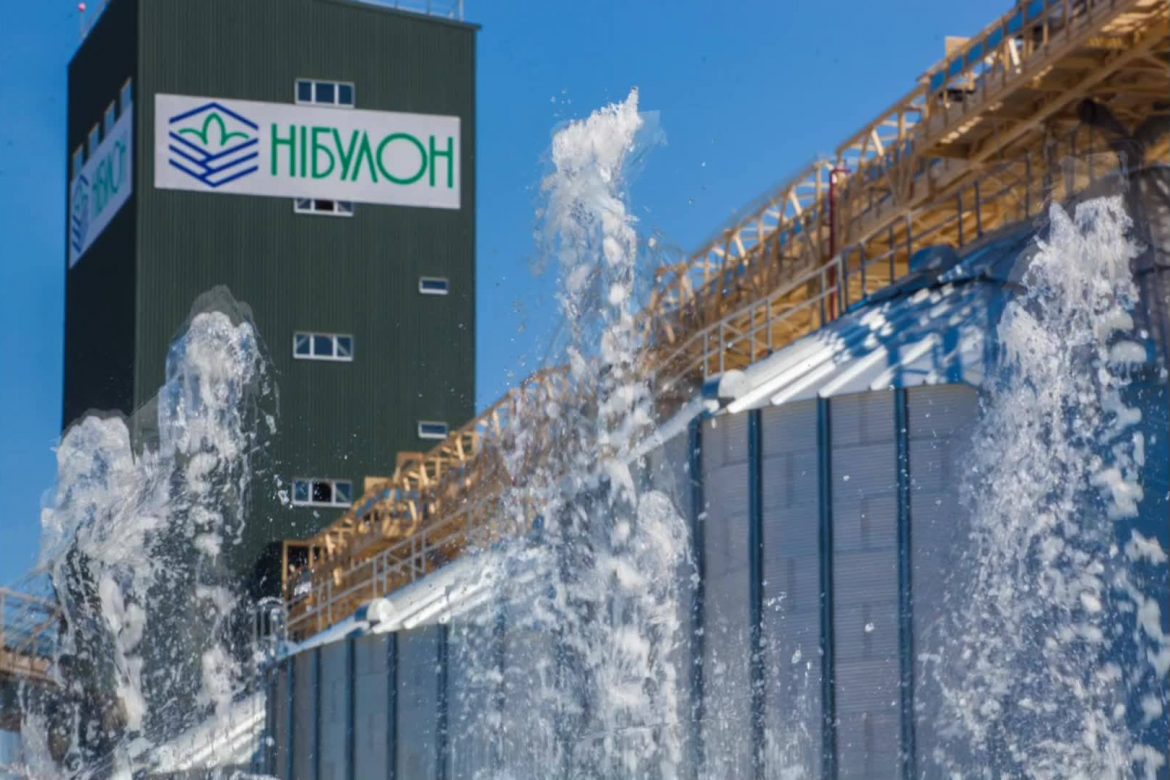 Обсяги перевалки «Нібулону» на Дунаї впали вдесятеро