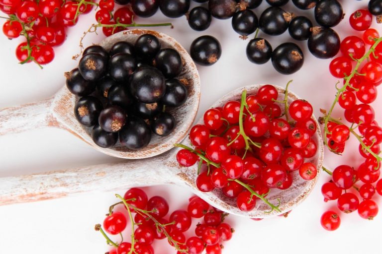 Смородина на вашому столі