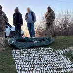 На Одещині з браконьєрських сіток звільнили червонокнижну рибу