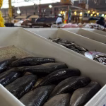 Поступове подорожчання риби в Одесі — ціни на Київському ринку