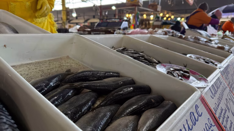 Поступове подорожчання риби в Одесі — ціни на Київському ринку