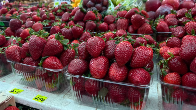 В Одесі з’явилася перша кілійська полуниця — скільки вона коштує на ринку