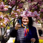 Навесні в Одесі: свіжі фото квітучого міста