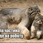 Одеська іронія: кава, тиша і життя тут і тепер