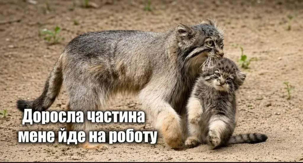 Одеська іронія: кава, тиша і життя тут і тепер