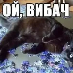 Одеські меми — гумор, що піднімає настрій