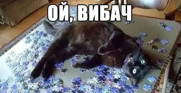 Одеські меми — гумор, що піднімає настрій