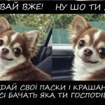 Одеситський гумор — передсвятній галас і важливе нагадування для всіх