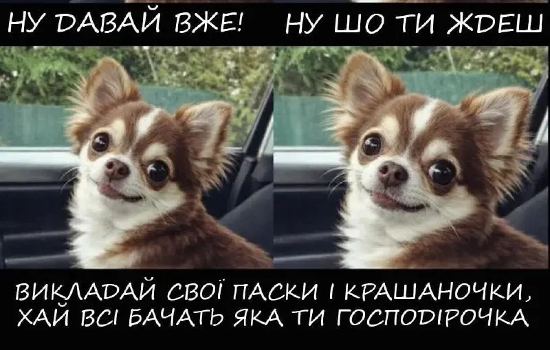 Одеситський гумор — передсвятній галас і важливе нагадування для всіх