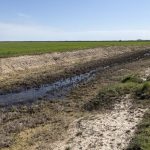 У Кілії зменшили ймовірність підтоплення сільськогосподарських угідь