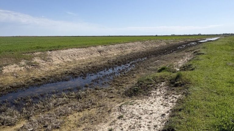 У Кілії зменшили ймовірність підтоплення сільськогосподарських угідь