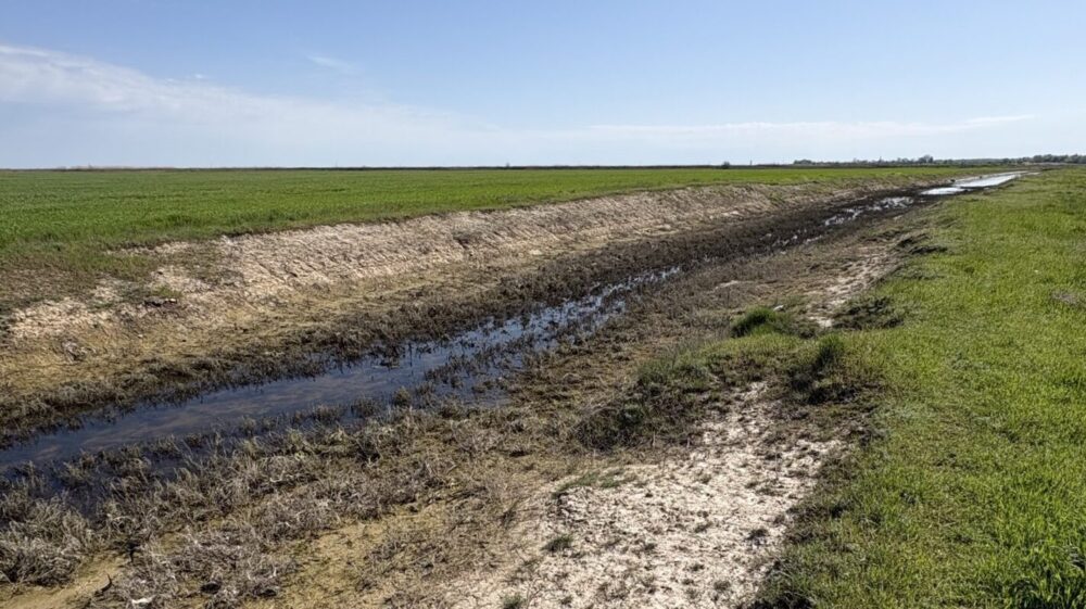 У Кілії зменшили ймовірність підтоплення сільськогосподарських угідь