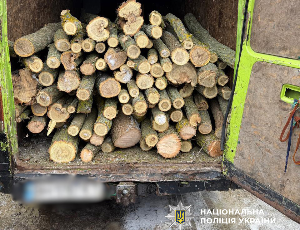 На Одещині під суд відправили «чорних лісорубів», що завдали довкіллю збитків на сотні тисяч гривень