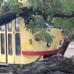 В Одесі повалені дерева паралізували рух трамваїв