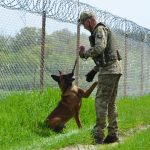 Ізмаїльські вартові: кінолог та службова собака Нагіра стережуть кордон