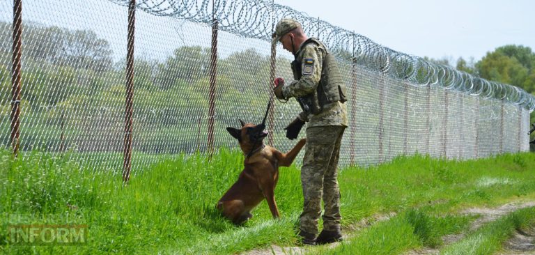 Ізмаїльські вартові: кінолог та службова собака Нагіра стережуть кордон