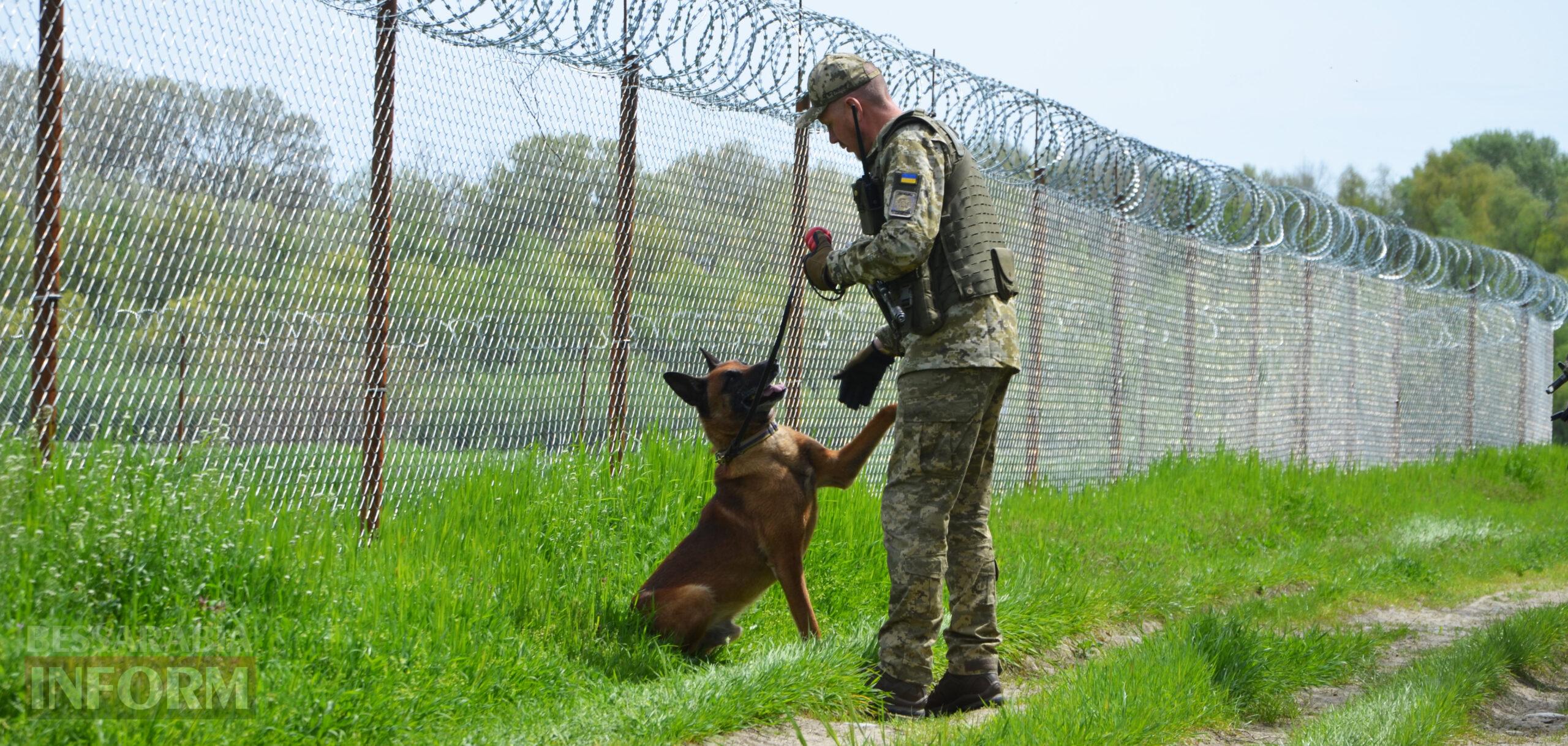 Ізмаїльські вартові: кінолог та службова собака Нагіра стережуть кордон