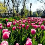 В Одесі — весняне потепління, а область готується до погодних сюрпризів: прогноз на п’ятницю, 24 квітня