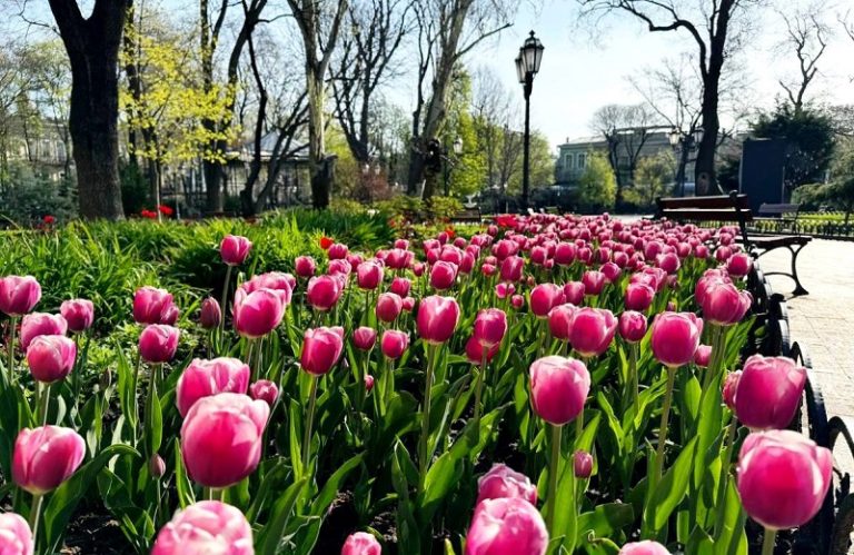 В Одесі — весняне потепління, а область готується до погодних сюрпризів: прогноз на п’ятницю, 24 квітня