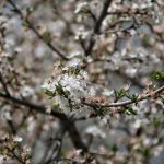 Якою буде погода в Одесі 20 квітня — прогноз синоптиків