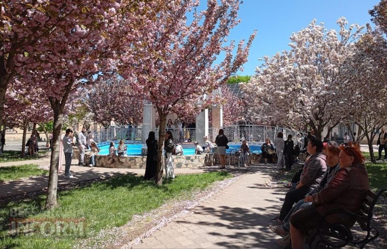 Рожева легенда Ізмаїла: сакуровий сад, що став символом столиці Придунав’я