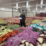 Одеського «квіткового мільйонера» підозрюють у приховуванні мільйонних доходів — справа на розгляді в суді