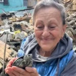 Чудо в Одесі: під завалами знайшли живу черепаху