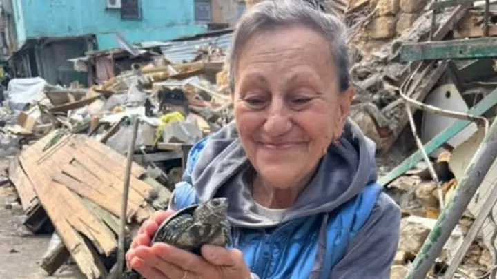 Чудо в Одесі: під завалами знайшли живу черепаху