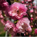 Перші експертні прогнози: який врожай очікує Одещину