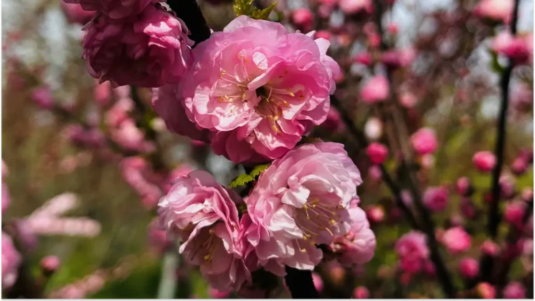Перші експертні прогнози: який врожай очікує Одещину