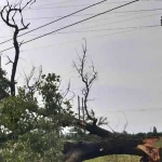 Потужні пориви вітру знеструмили Одесу та область