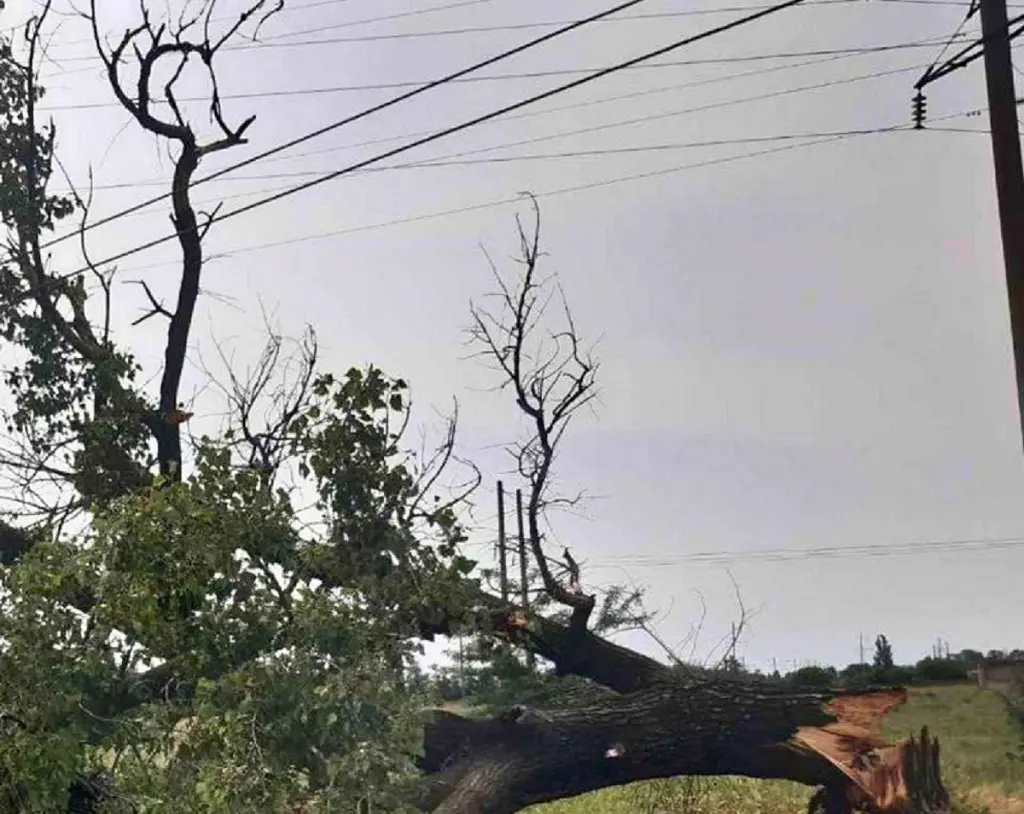 Потужні пориви вітру знеструмили Одесу та область