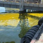 Після атаки на один із портів Великої Одеси у море вилилося тисячі тонн олії — ФОТО