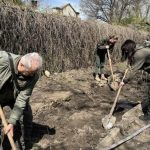 В Одесі в парку імені Тараса Шевченка з’явилися унікальні дуби з багатовіковою історією — ФОТО
