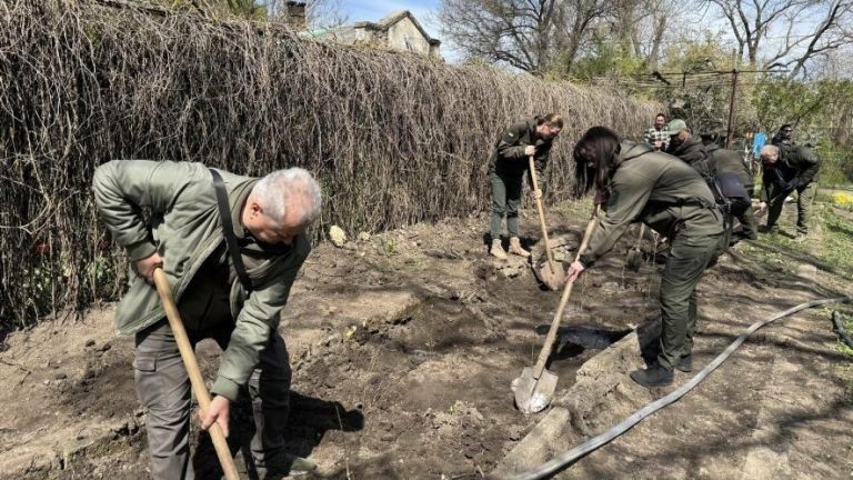 В Одесі в парку імені Тараса Шевченка з’явилися унікальні дуби з багатовіковою історією — ФОТО